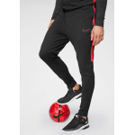 Nike Dry-Fit Academy Fussball Pant