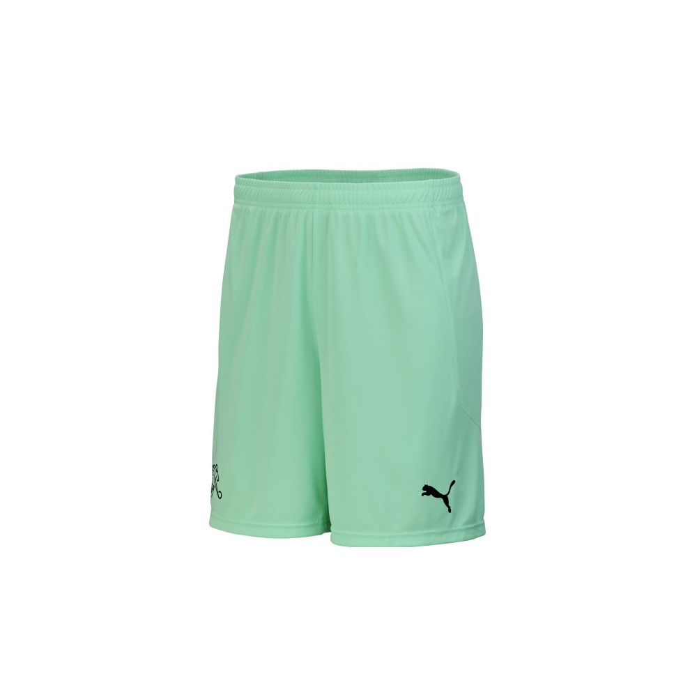 Puma Schweiz Goalkeeper Short 2019/20 Kinder