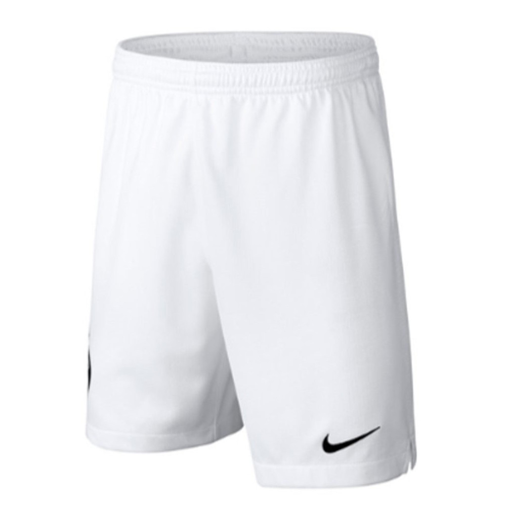 Nike Inter Mailand Away Shorts 2018/19 Erwachsen