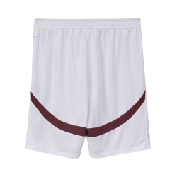 Puma SFV Schweiz Shorts Replica 2024, weiss