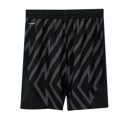 Puma SFV Schweiz Goalie Shorts Replica 2024 Junior, schwarz