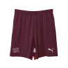 Puma SFV Schweiz Shorts Replica 2024, rot