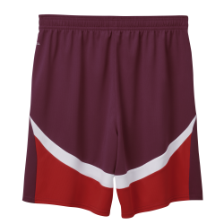 Puma SFV Schweiz Shorts Replica 2024, rot