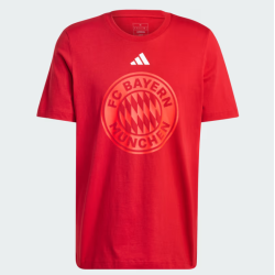 Adidas FC Bayern München T-Shirt 2024