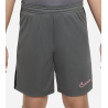 Nike Dri-FIT Academy23 Junior Fussballshorts, grau