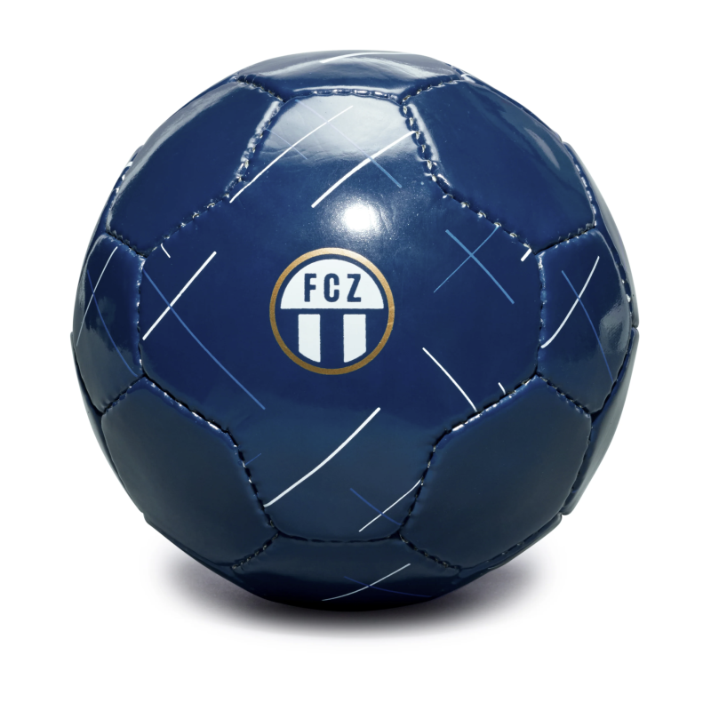 FC Zürich Miniball