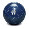 FC Zürich Miniball