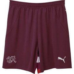 Puma SFV Schweiz Shorts Replica Junior 2024, rot