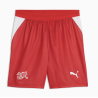 Puma SFV Schweiz Shorts Home 2026