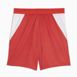 Puma SFV Schweiz Shorts Home Junior 2026