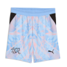 Puma SFV Schweiz Torwart Shorts Junior 2026