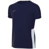 Nike Academy Dri-FIT-Technologie Fussballoberteil Junior, blau/pink