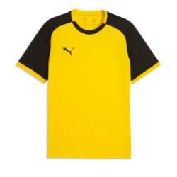 Puma Team Liga Shirt, (Kinderfussball Bubikon/Wolfhausen)