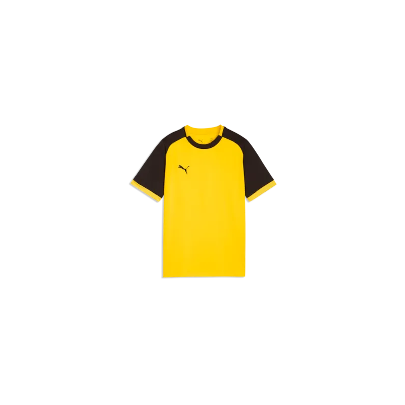 Puma Team Liga Shirt Kinder (Kinderfussball Bubikon/Wolfhausen)