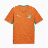 Puma FIF Elfenbeinküste Trikot Replica Home 2026