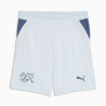 Puma SFV Schweiz Shorts Away Junior 2026