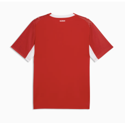 Puma SFV Schweiz Trikot Replica Home Damen 2026